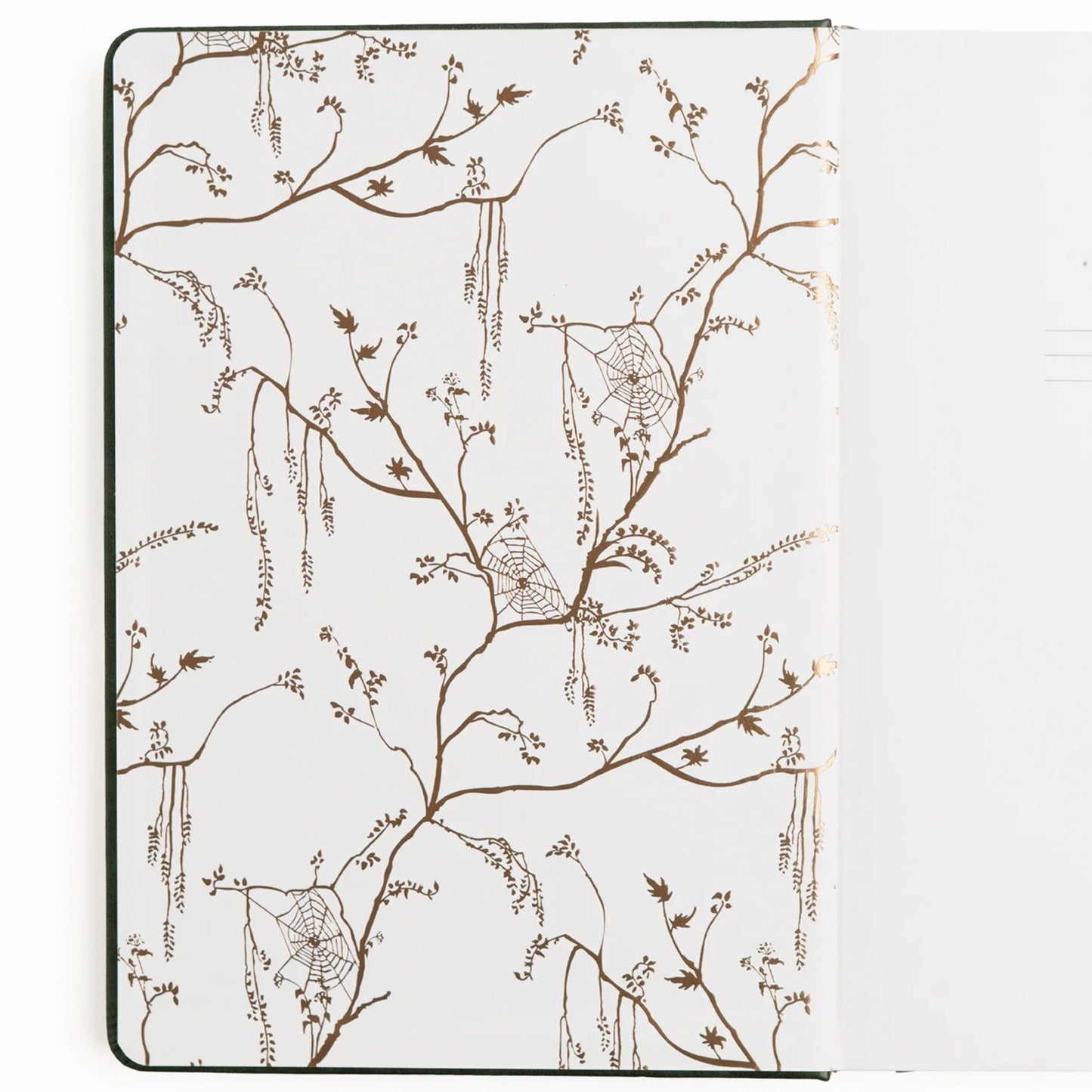 Archer & Olive - Journal B6 - Apothecary Shelf