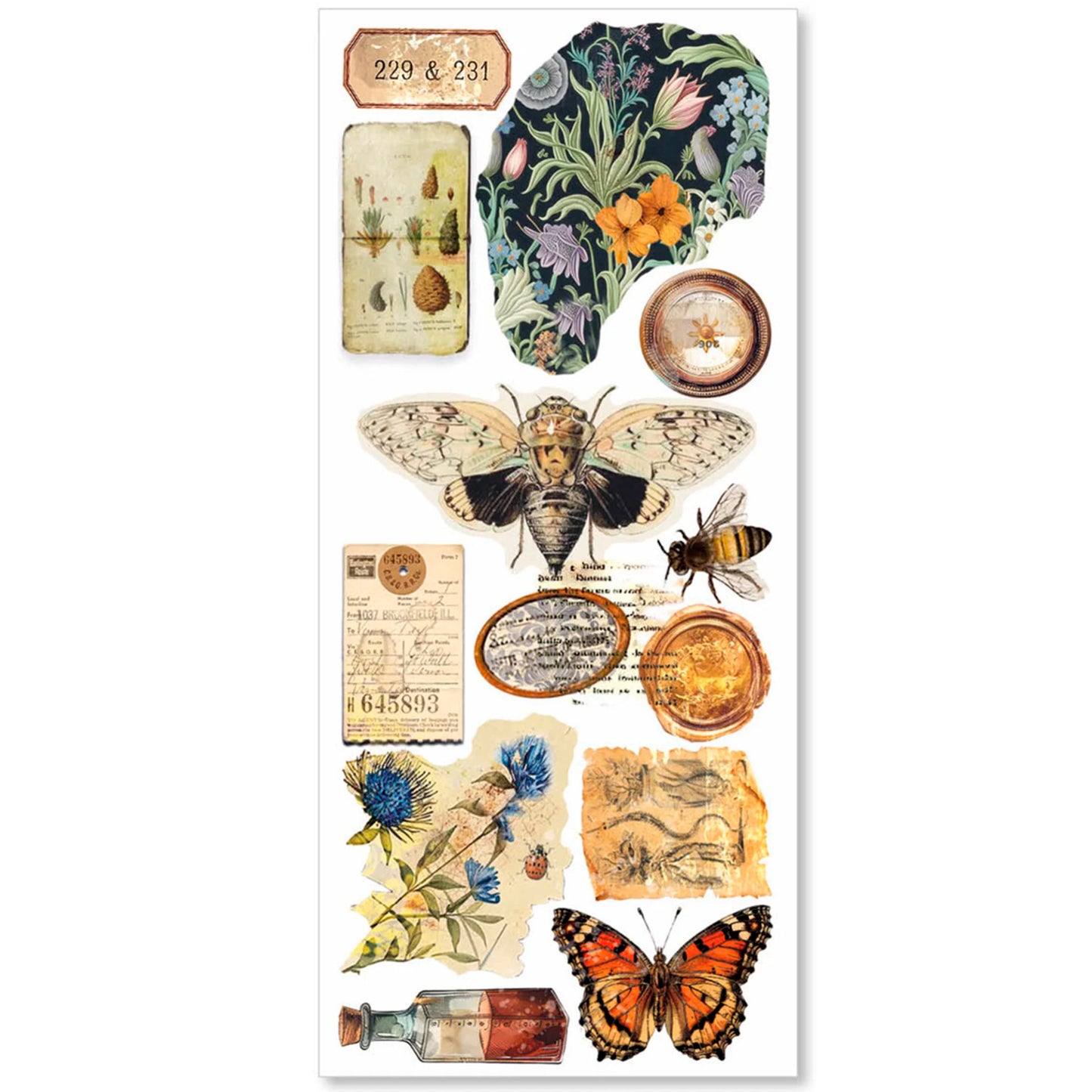 Ciao Bella - Stickers (5 hojas, no precortadas) - Cabinet of Curiosities