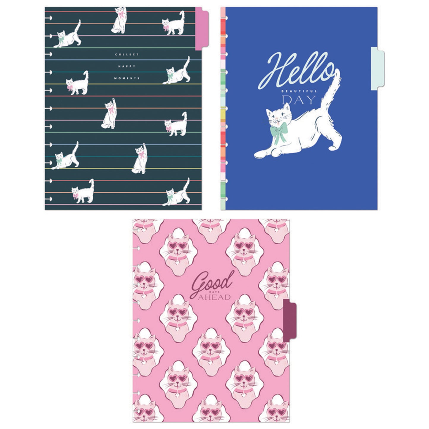 Happy Planner - Happy Notes Big - Purr-fect Year