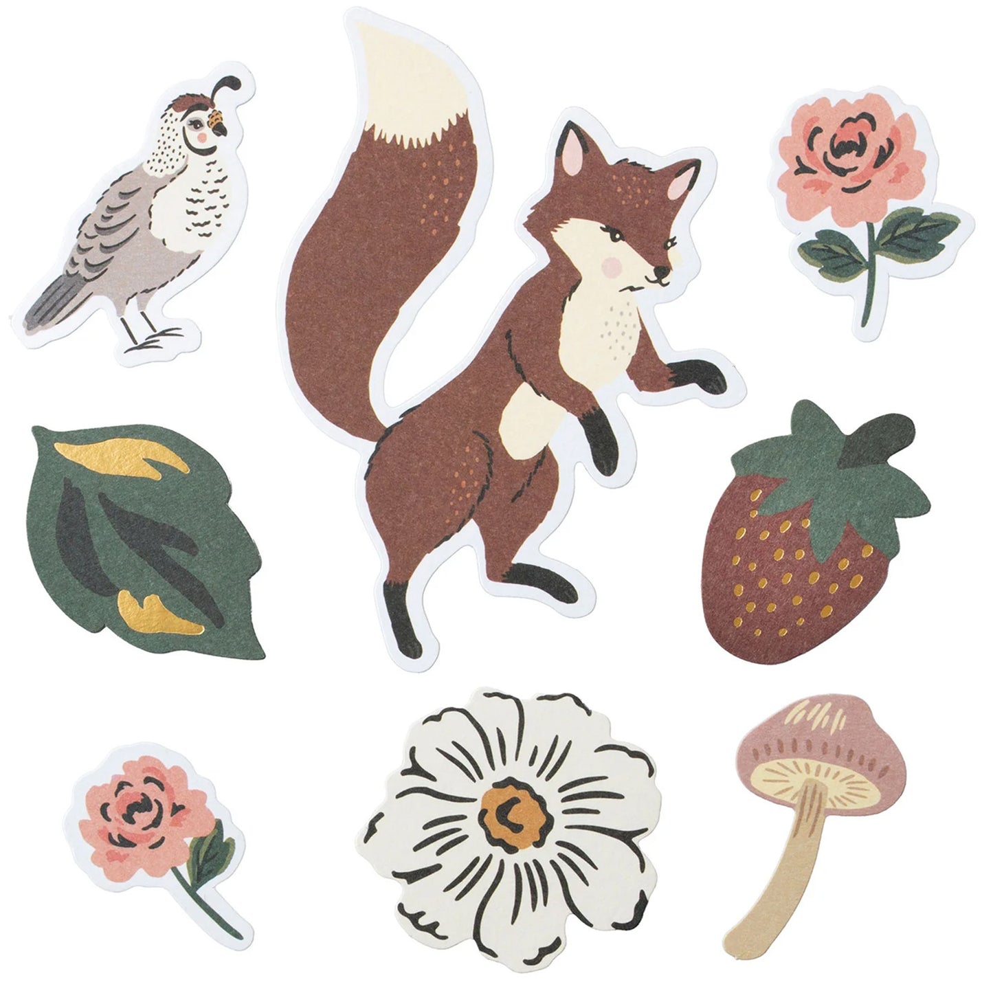 Maggie Holmes - Ephemera - Forever Fields