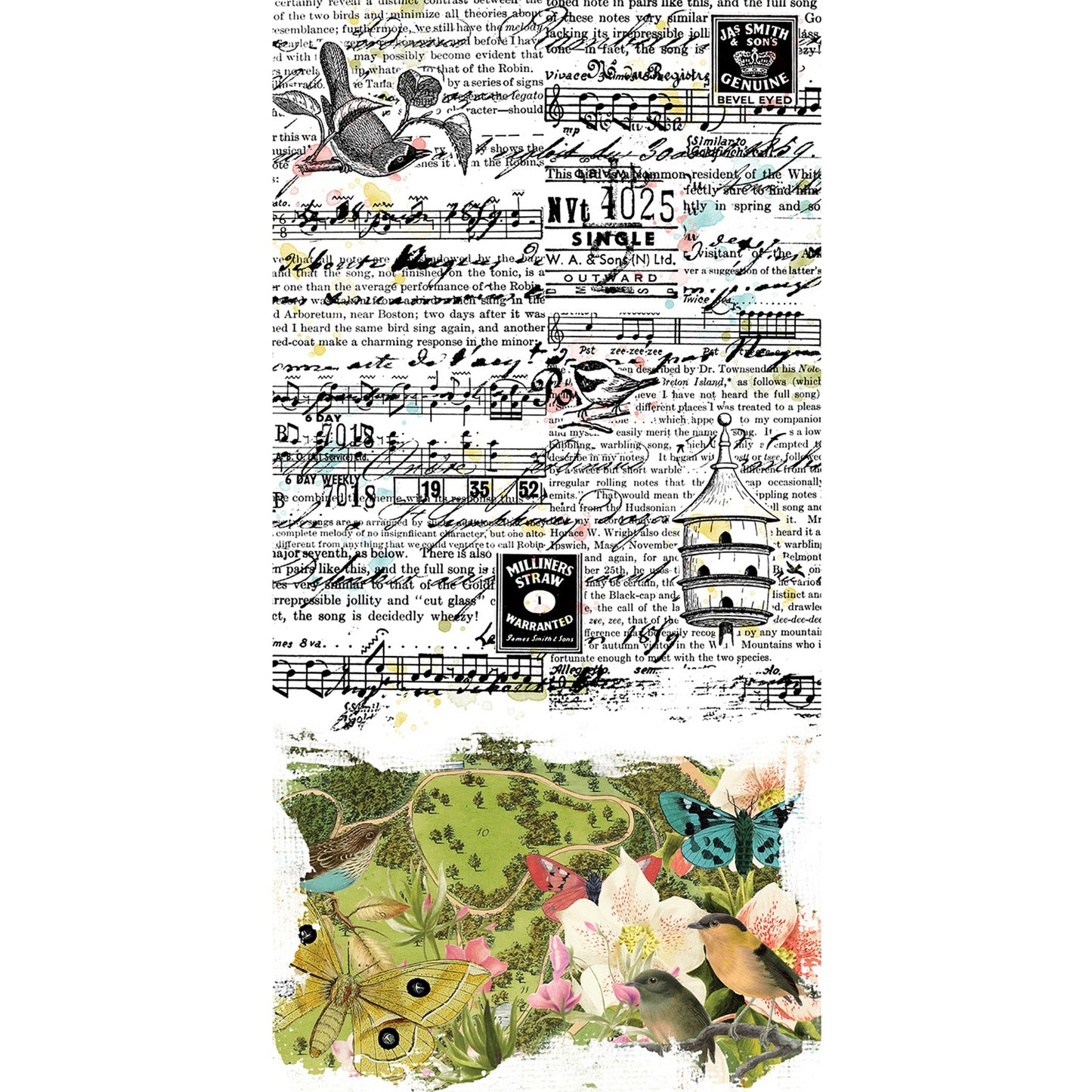 49 and Market - Washi Sheets - Birdsong