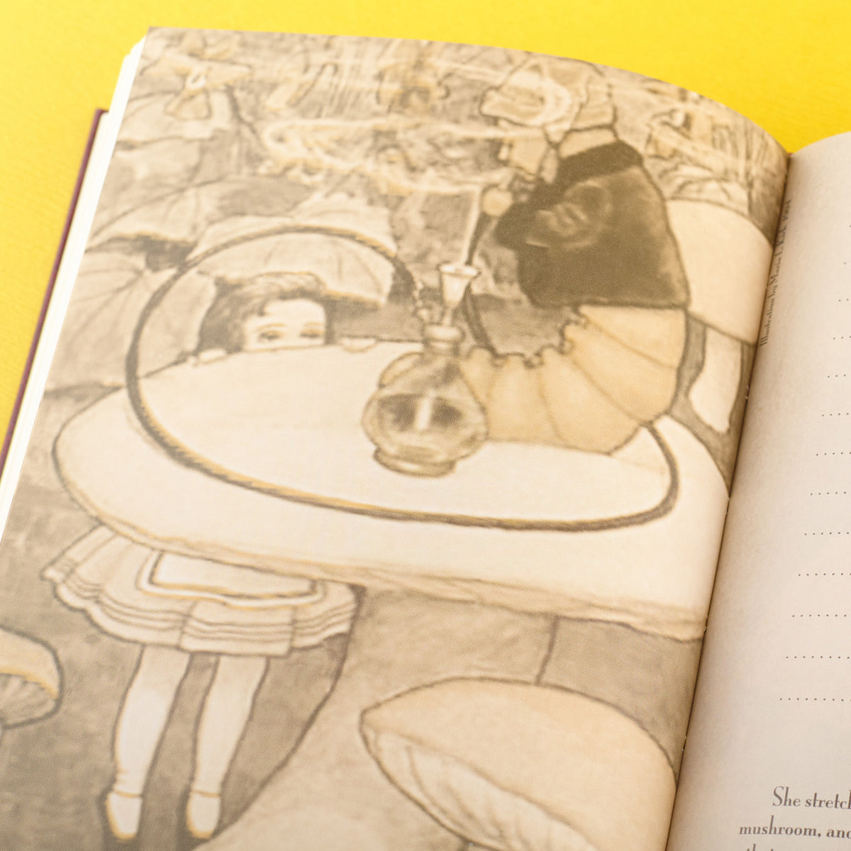 7321 Design - Agenda Alice (no fechada) - Conejo
