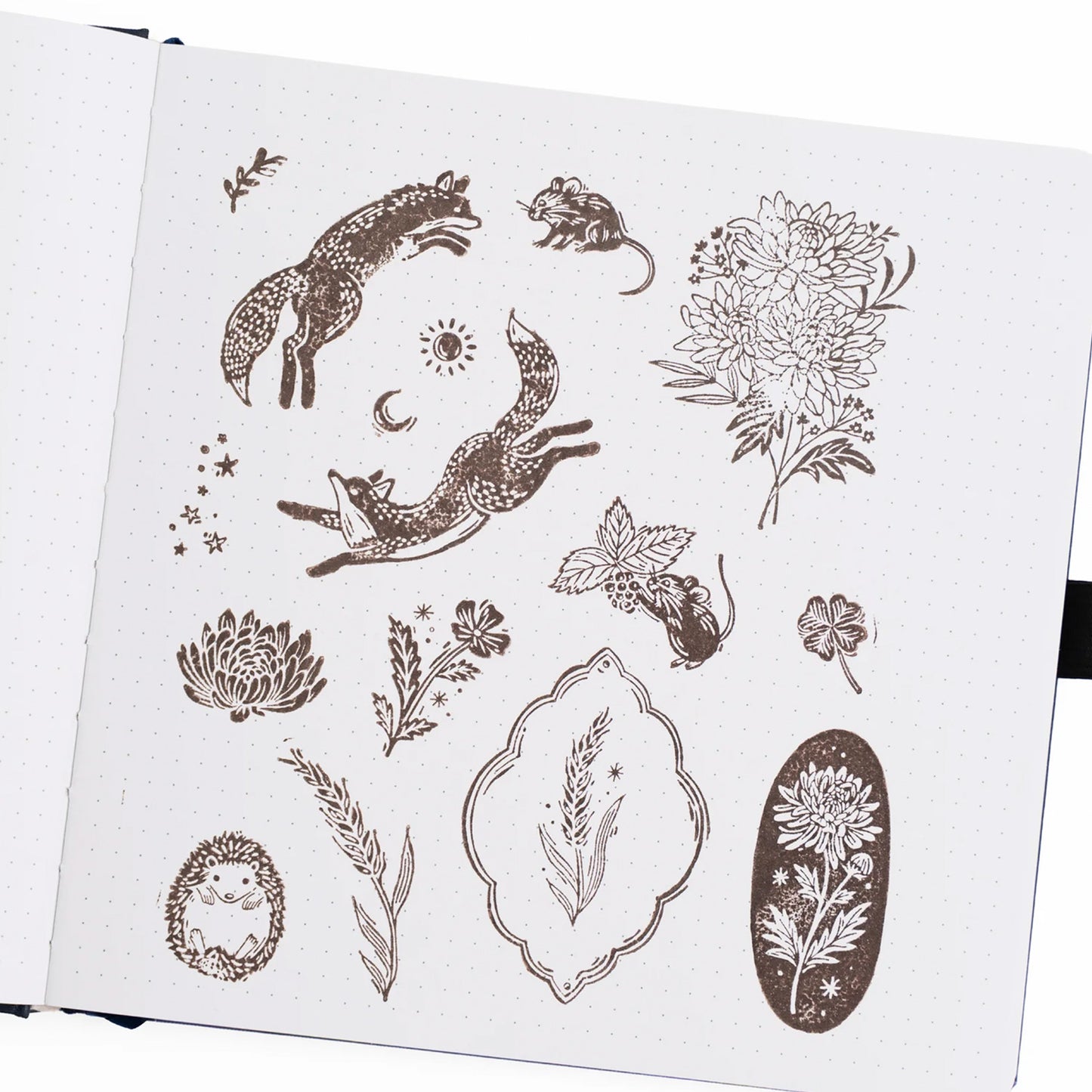 Archer & Olive - Sellos - Forest Findings