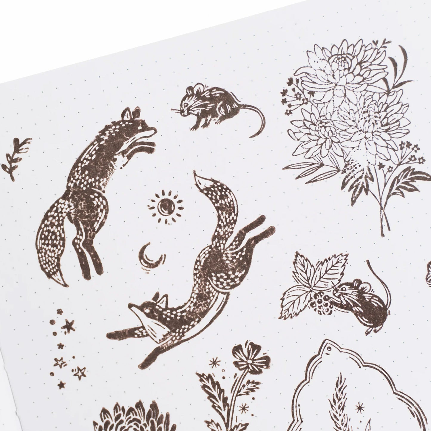 Archer & Olive - Sellos - Forest Findings