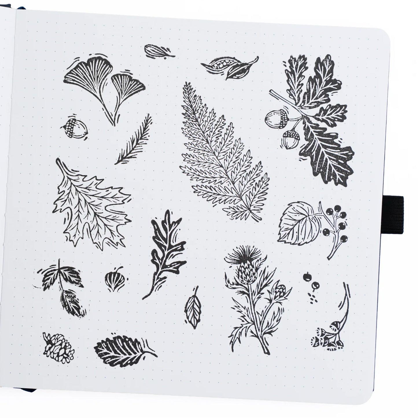 Archer & Olive - Sellos - Forest Foliage