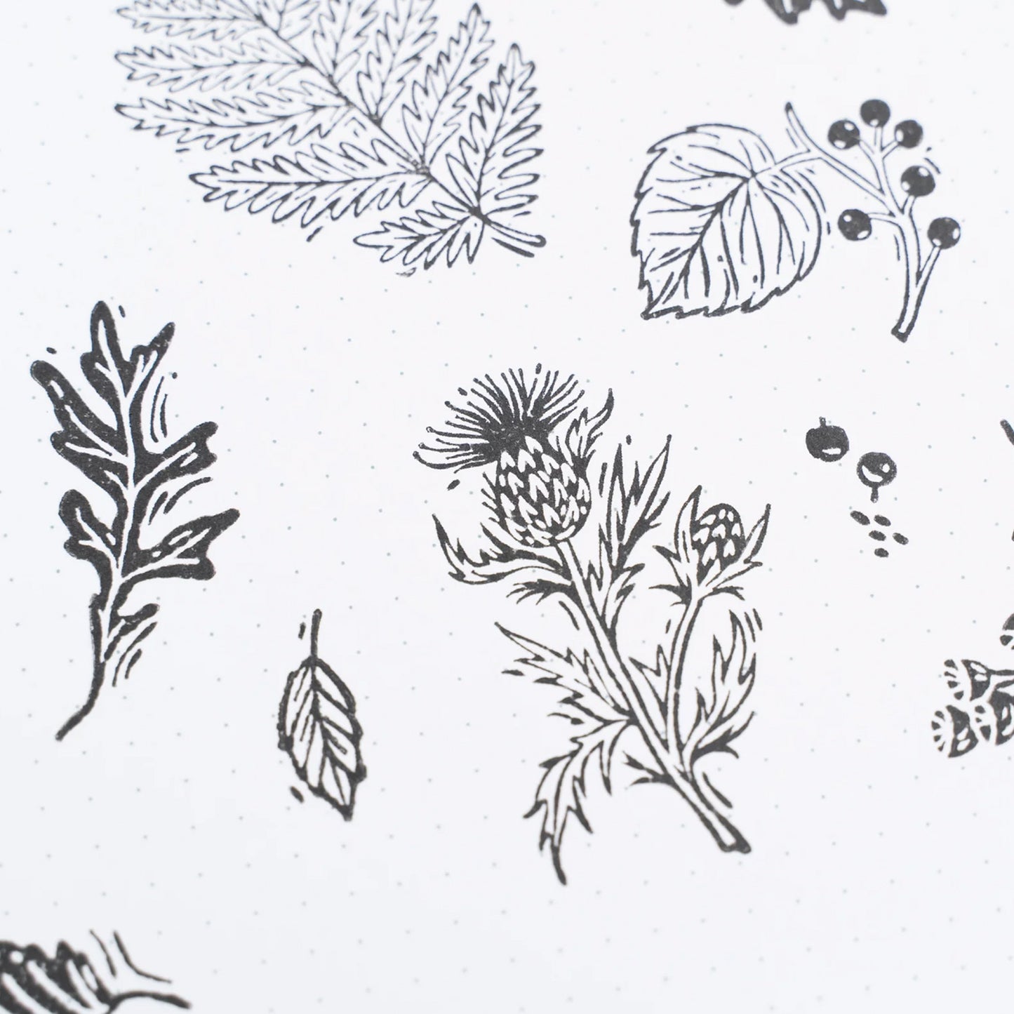 Archer & Olive - Sellos - Forest Foliage