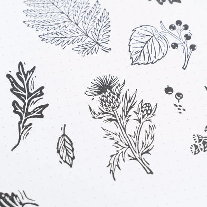 Archer & Olive - Sellos - Forest Foliage