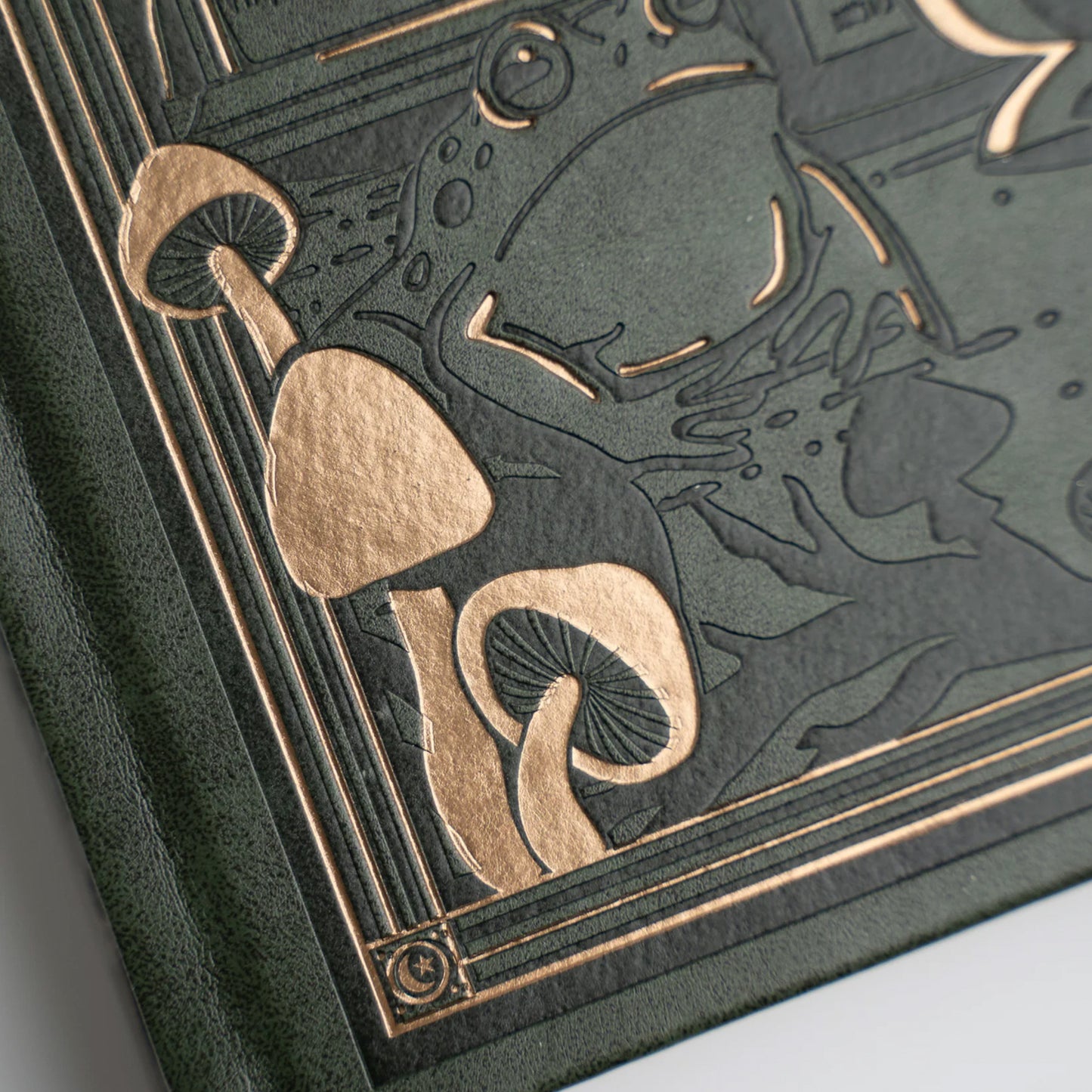 Archer & Olive - Journal B6 - Apothecary Shelf Blackout