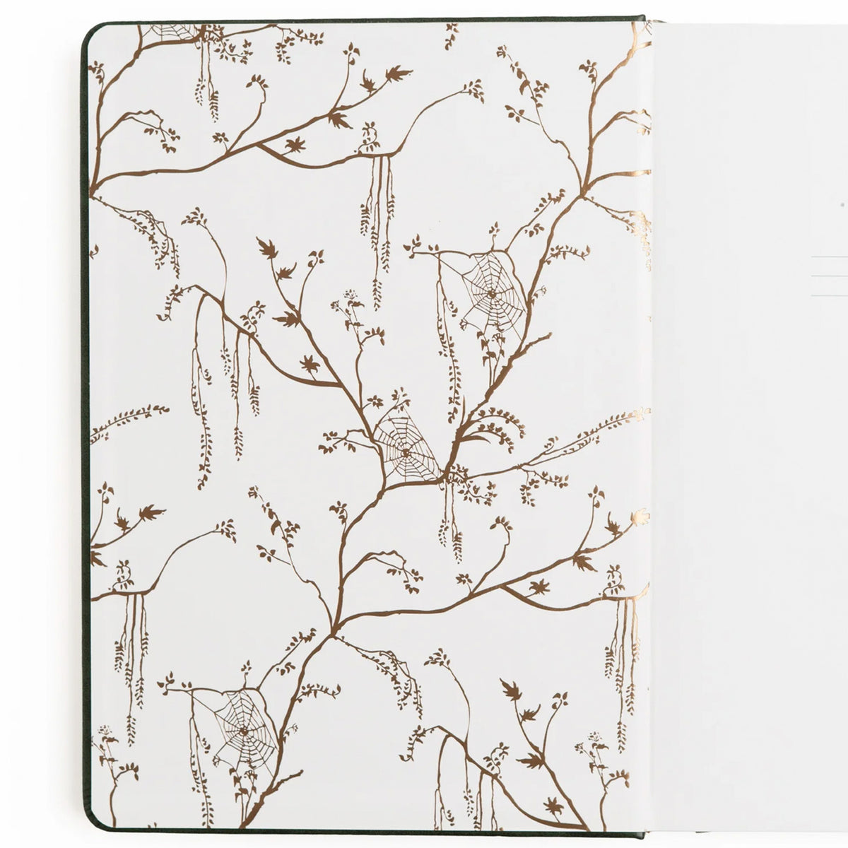 Archer & Olive - Journal B6 - Apothecary Shelf