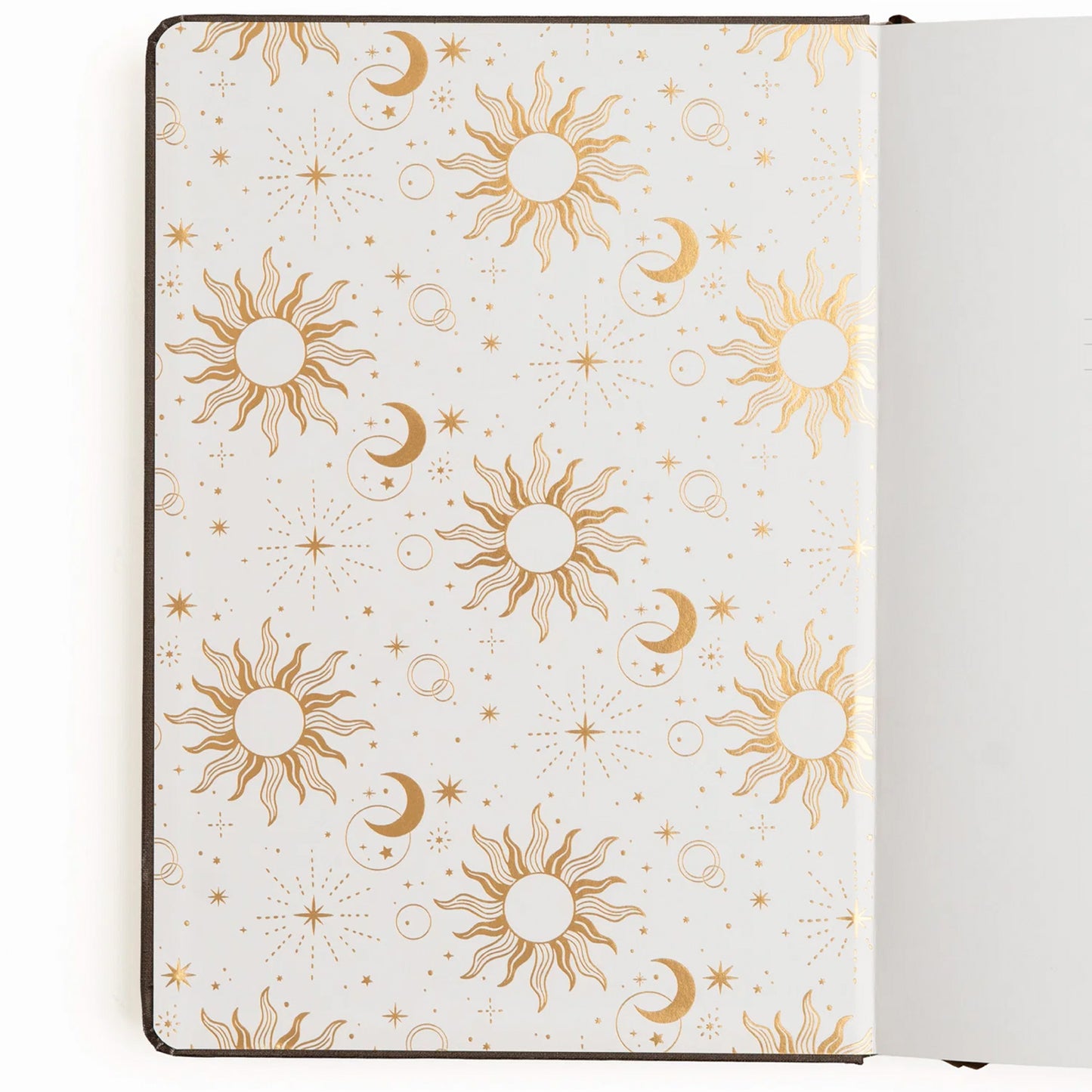 Archer & Olive - Journal Pocket Dotgrid - Harvest Moon