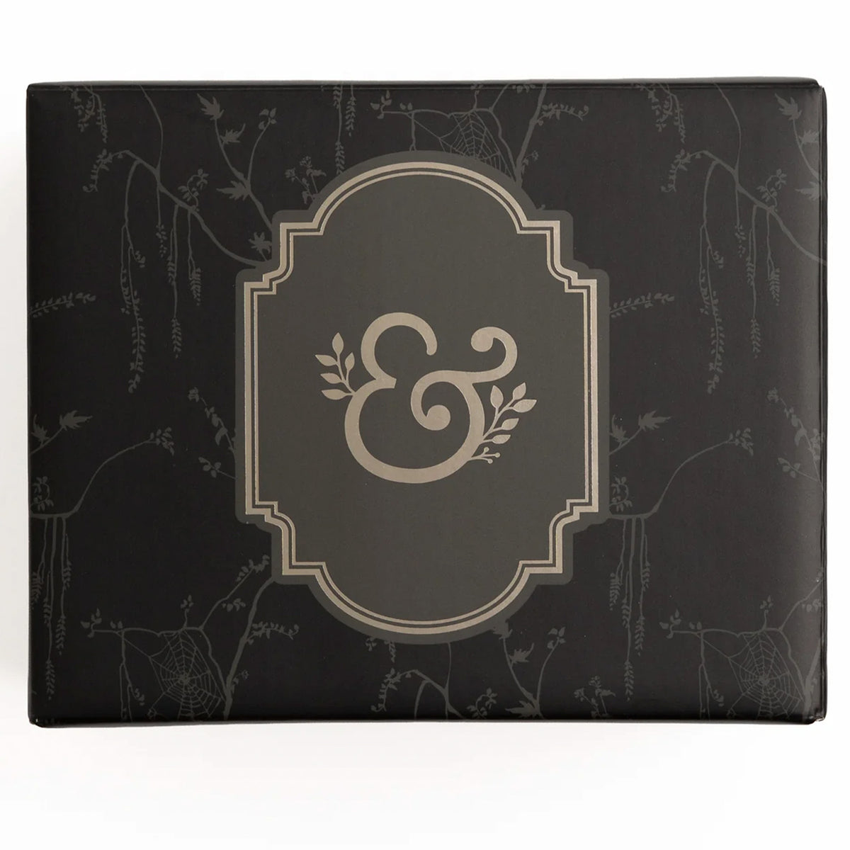 Archer & Olive - Taza - Mystic Magic