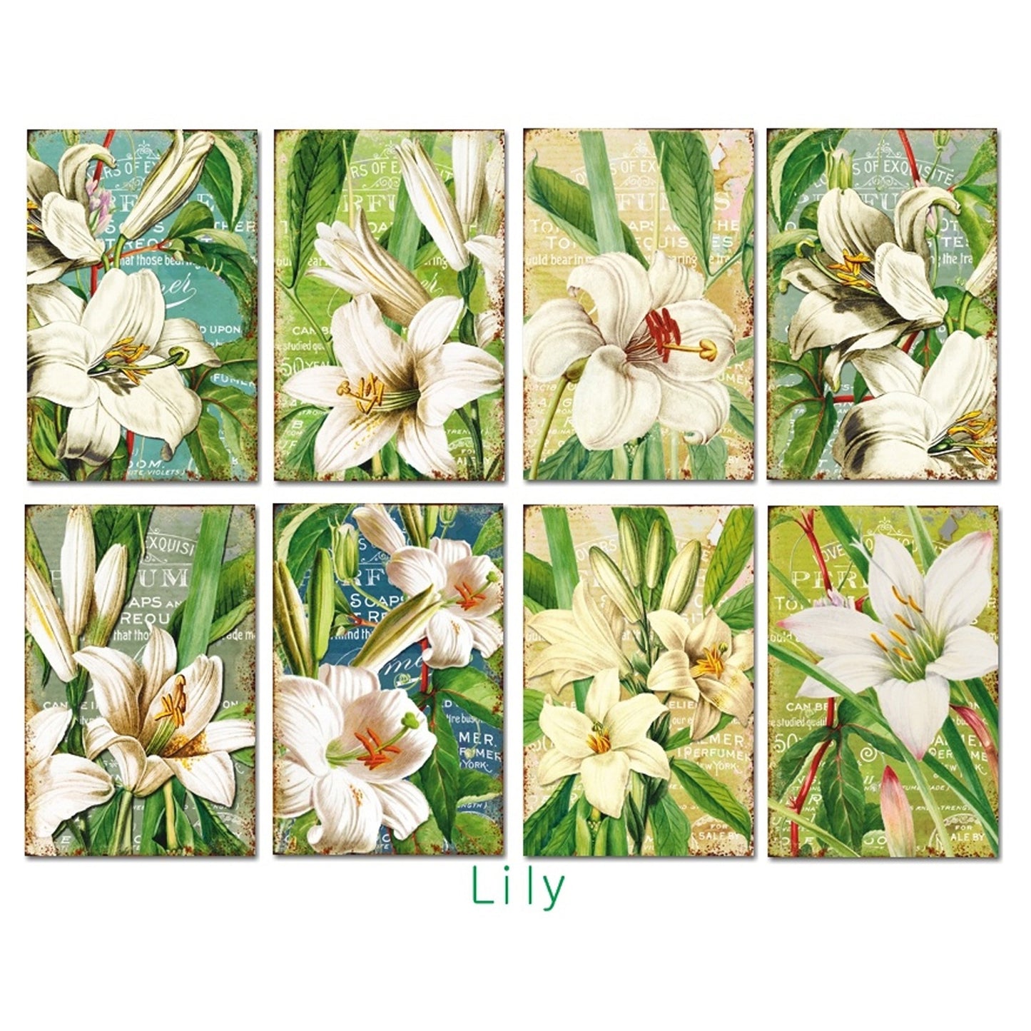 Decorer - Block Papel 7 x 10.8 cm - Lily
