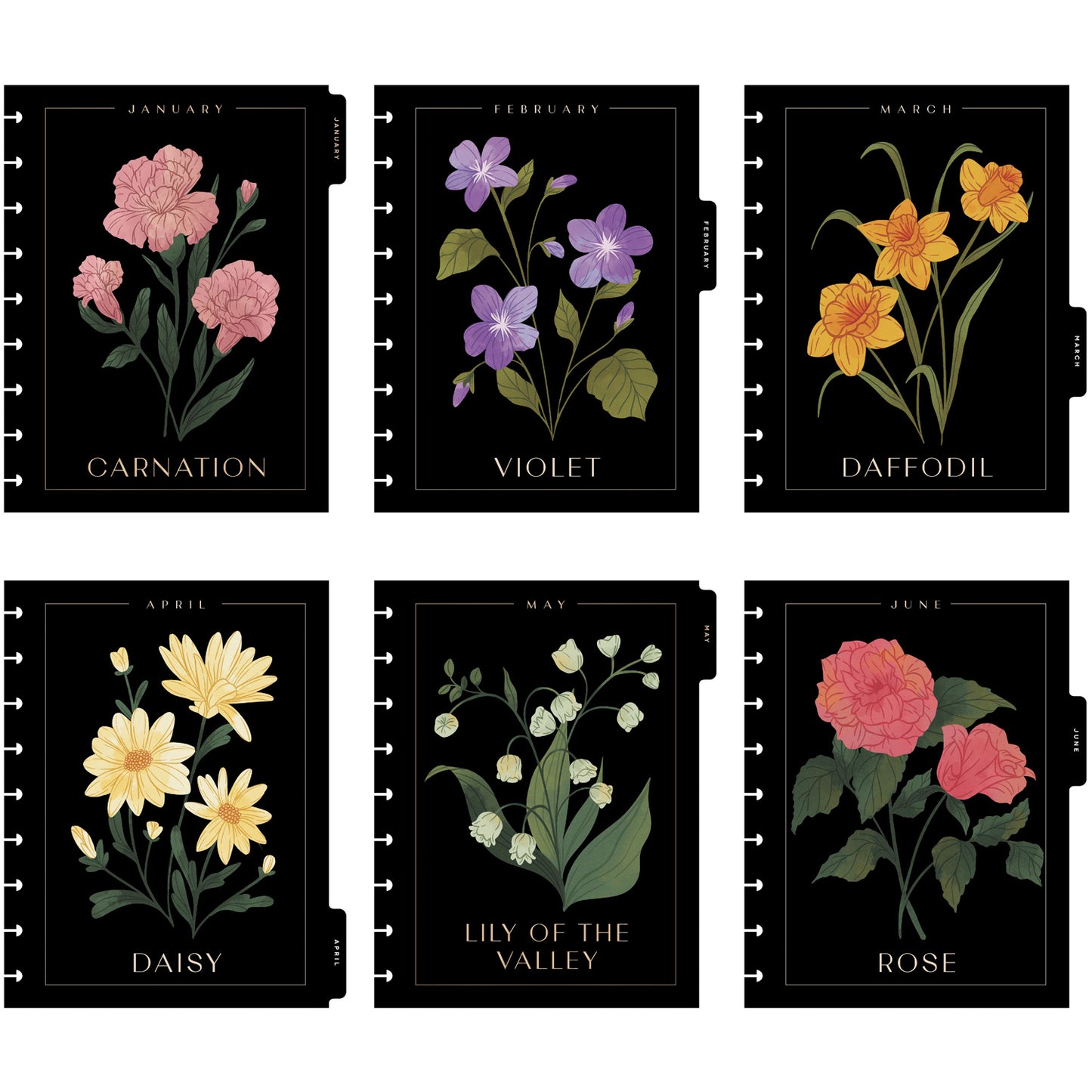 Happy Planner - Planner Classic Deluxe (2026) - Dark Garden