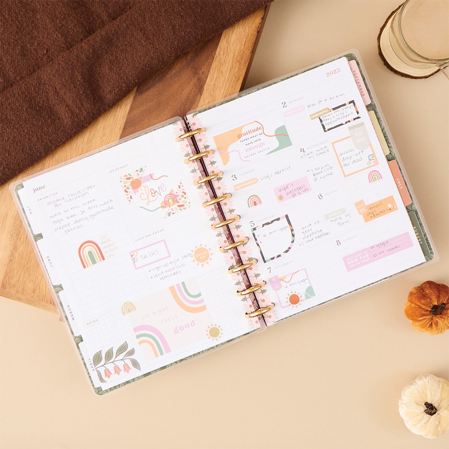 Happy Planner - Planner Classic Deluxe (2025) Dashboard - Desert Rose