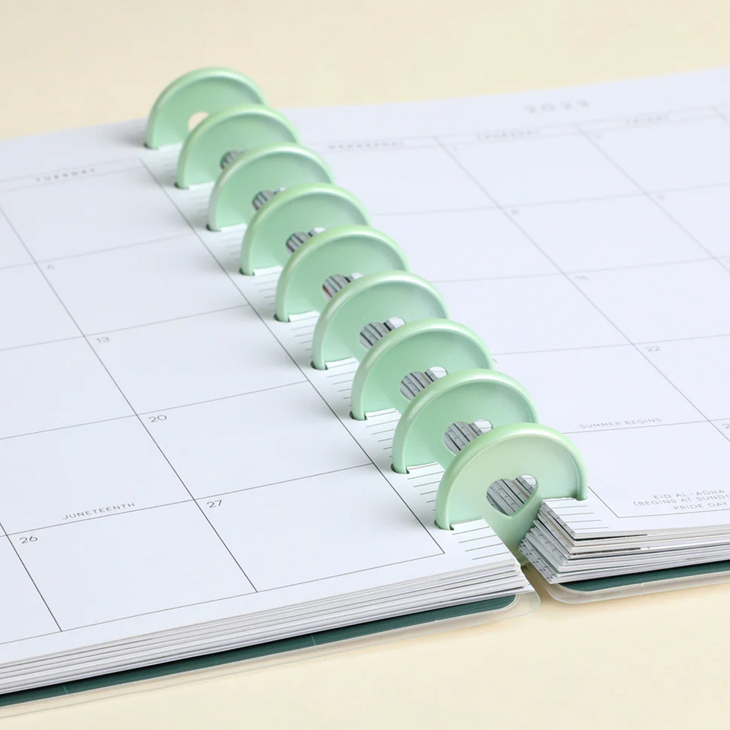 Happy Planner - Discos Classic Metal - Sea Glass
