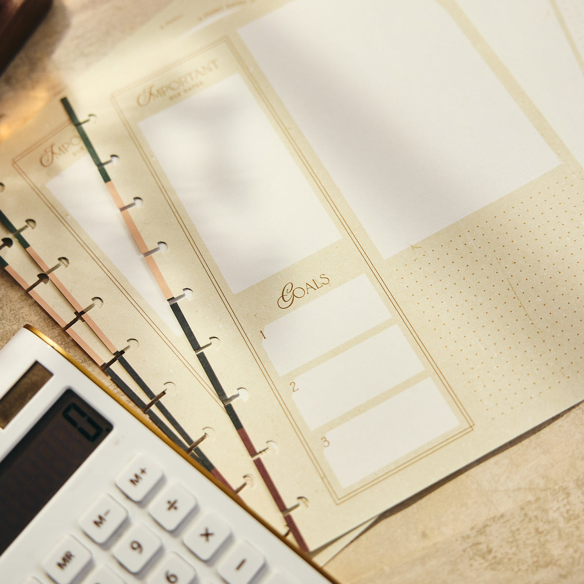 Happy Planner - Papel Classic - Amber & Oak