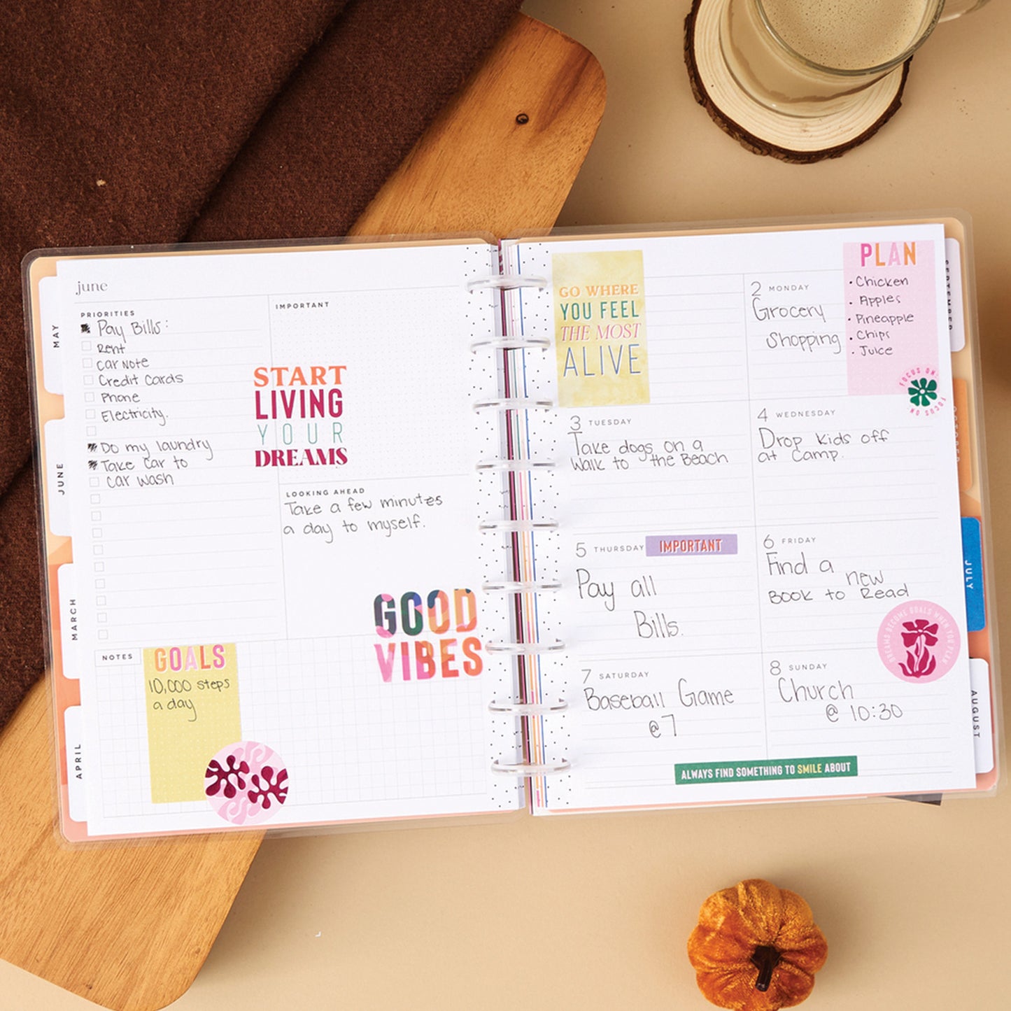 Happy Planner - Planner Classic (2025) Dashboard - Vivid Tropics