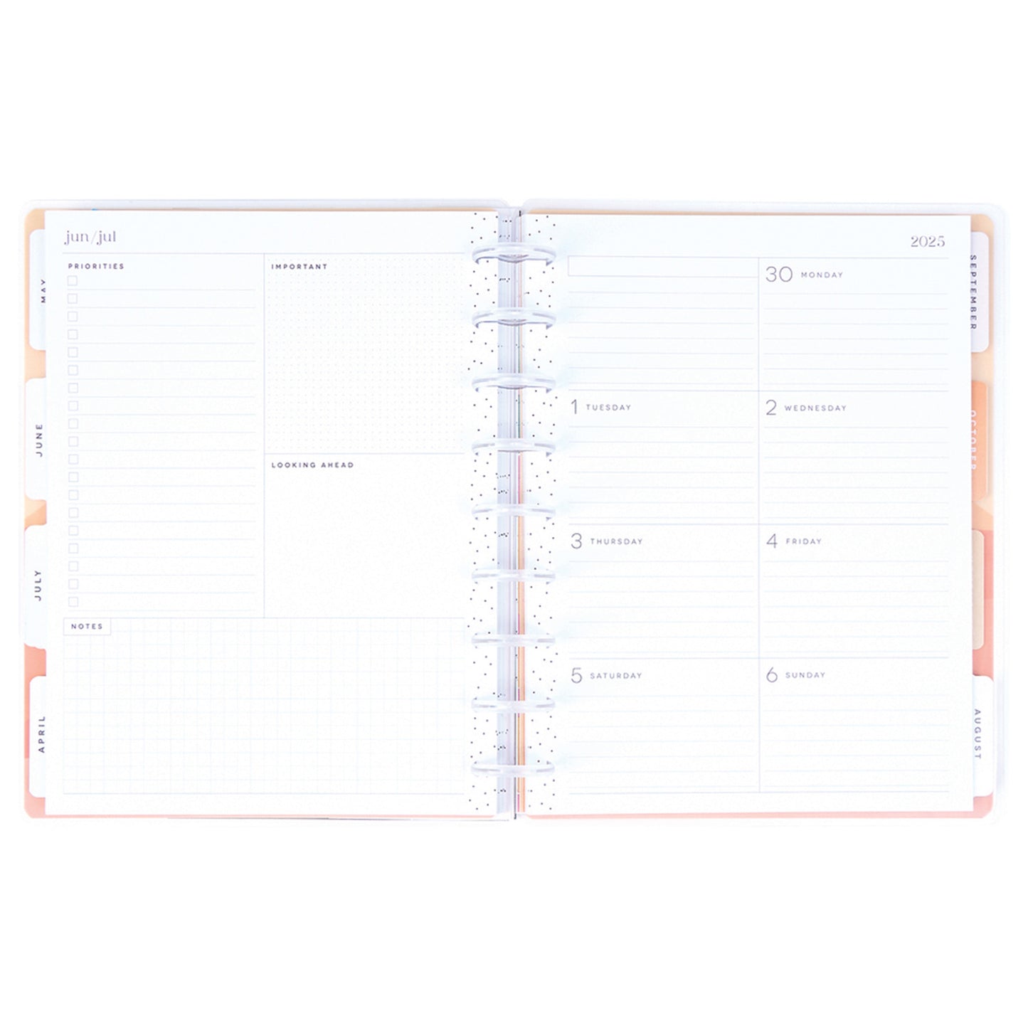 Happy Planner - Planner Classic (2025) Dashboard - Vivid Tropics