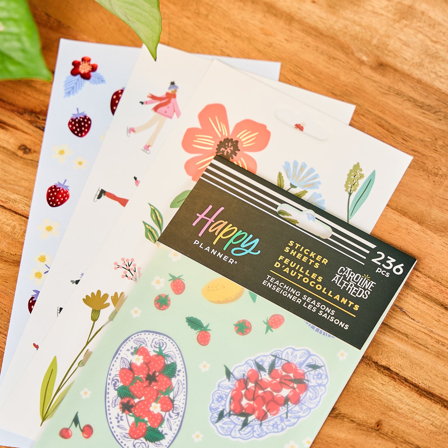 Happy Planner - Sticker Pack - Teaching Seasons