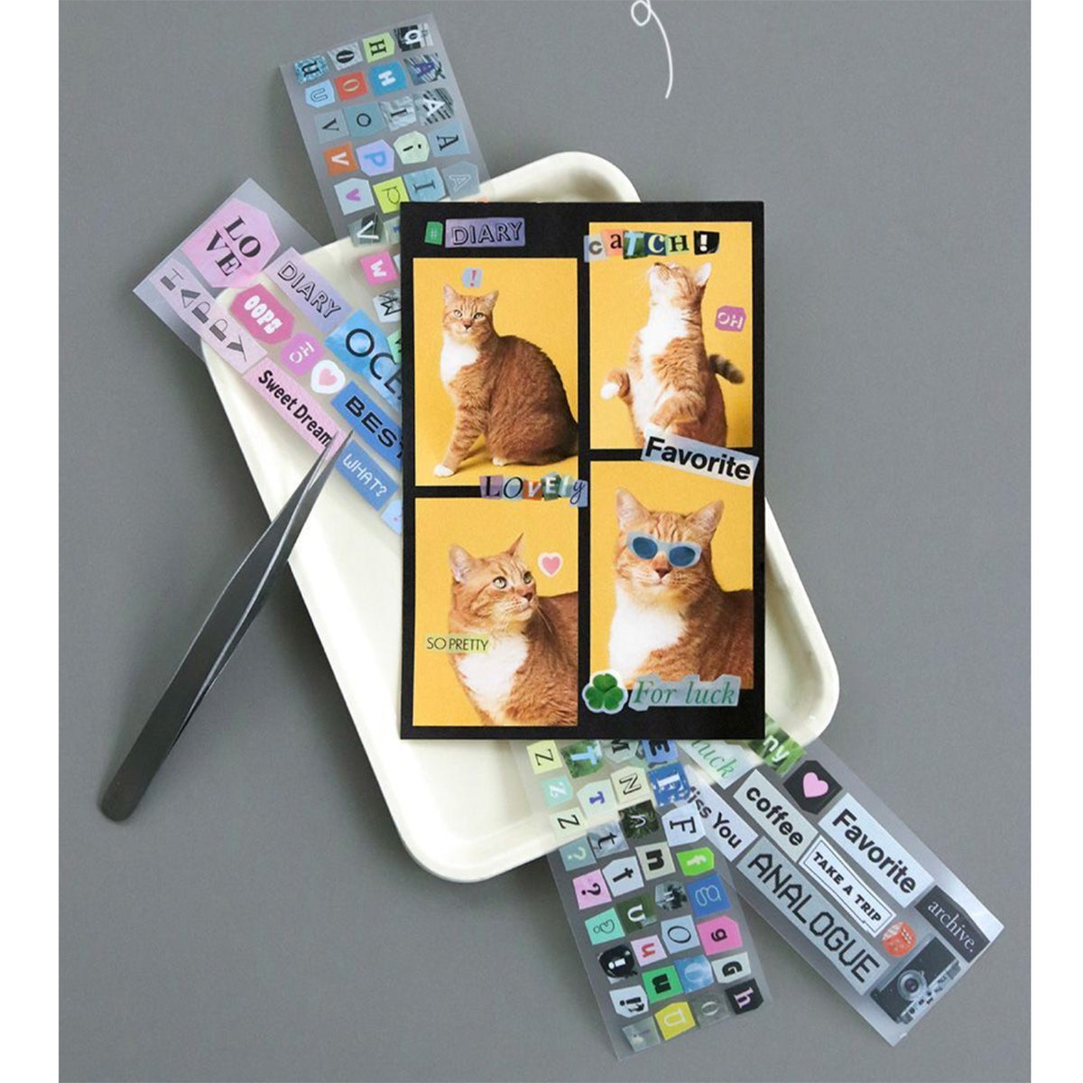 Iconic - Sticker Roll Pet - Magazine Collage