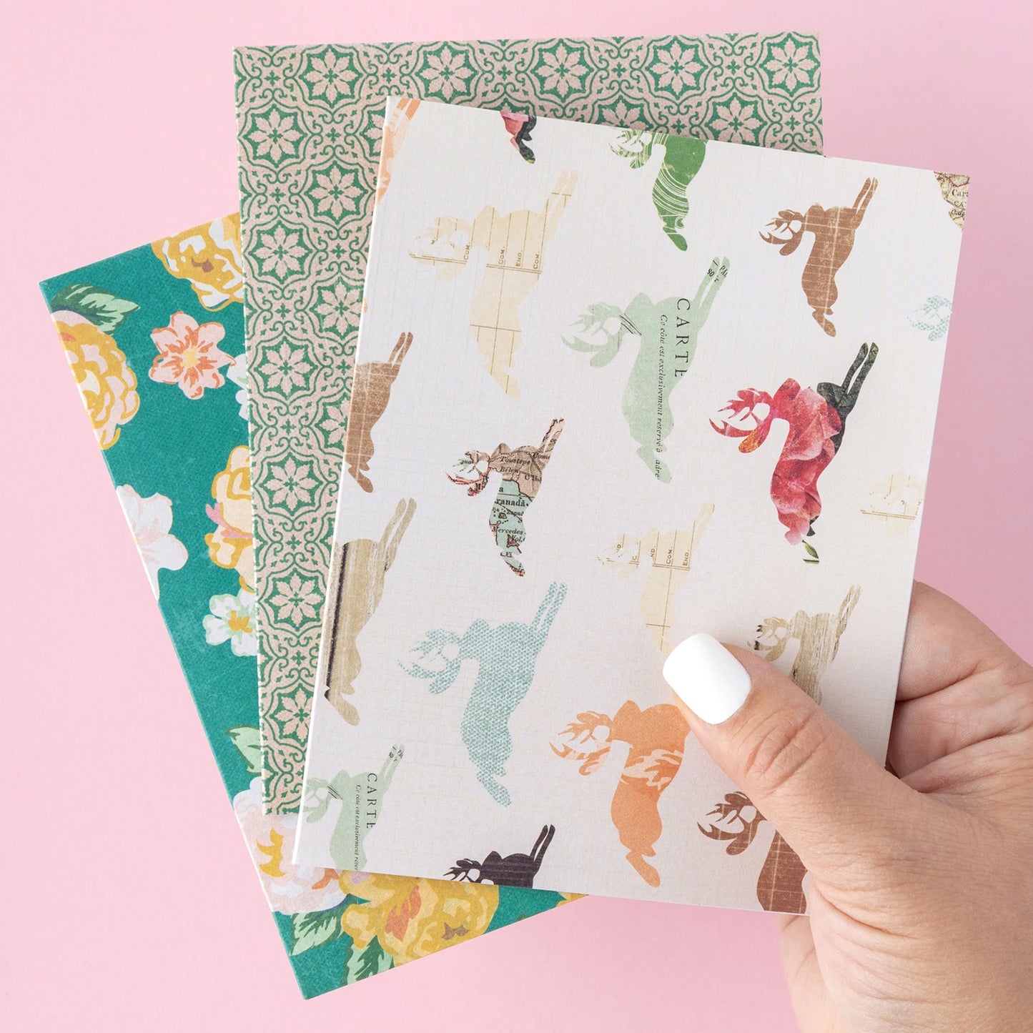 Maggie Holmes - Boxed Cards