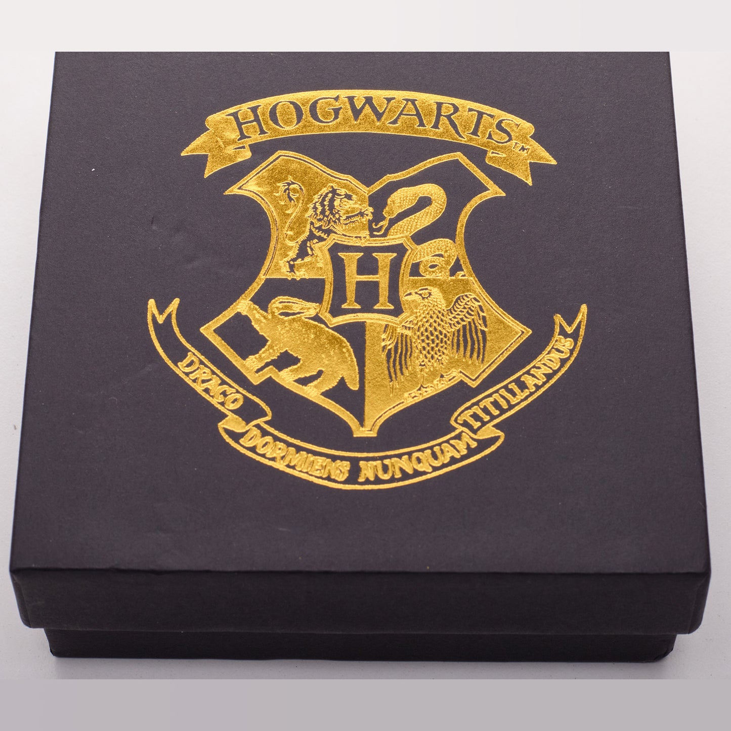 UB - Set Pines - Harry Potter Caja