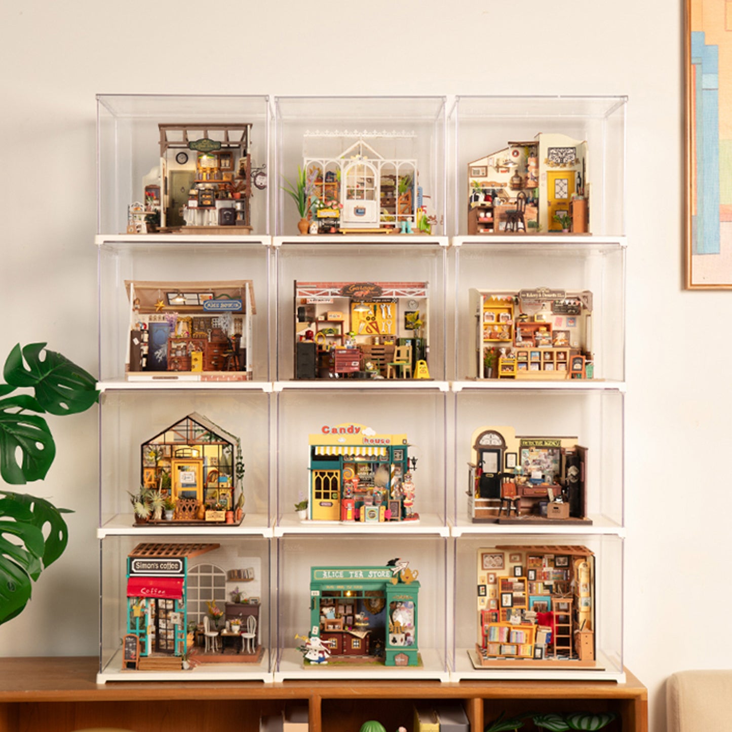 Rolife - Display Box