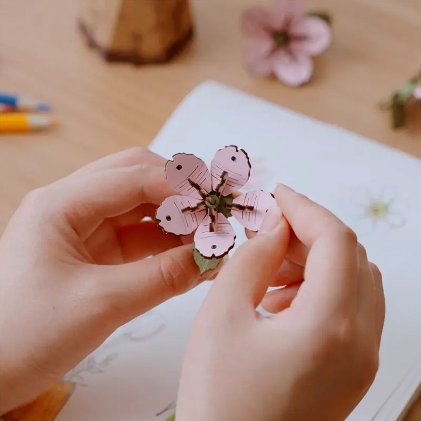 Rolife - Wooden Flowers - Sakura