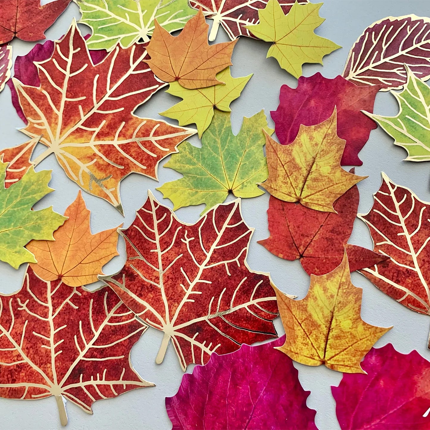 Paper House - Die cut Stickers - Fall Leaves