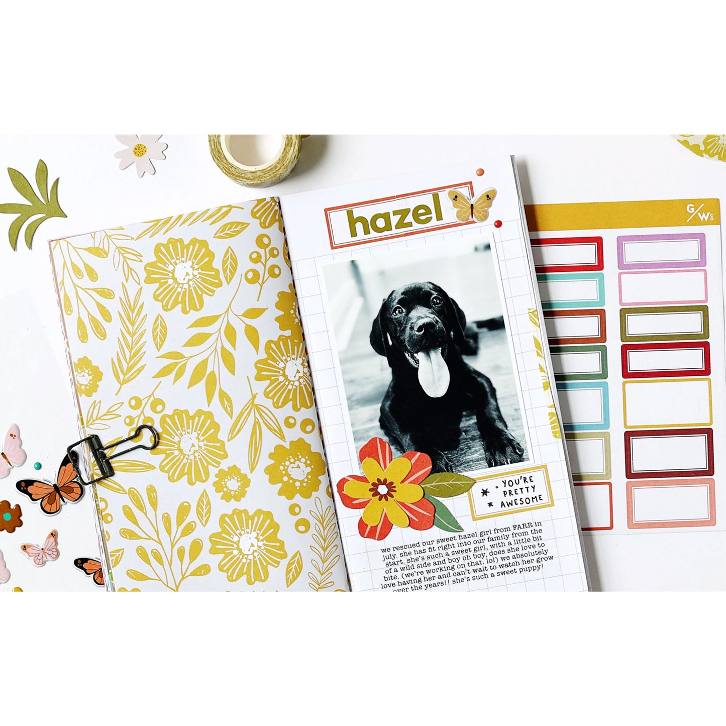 Studio Calico - Traveler's Notebook Kit - Field Notes
