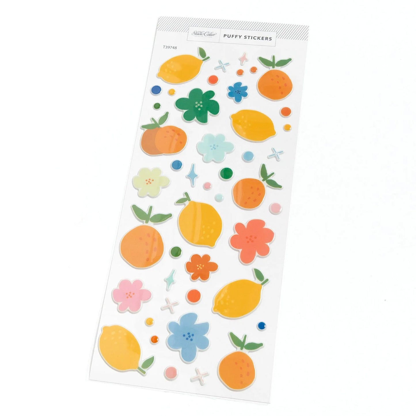 Studio Calico - Documenter Kit - Simply The Best