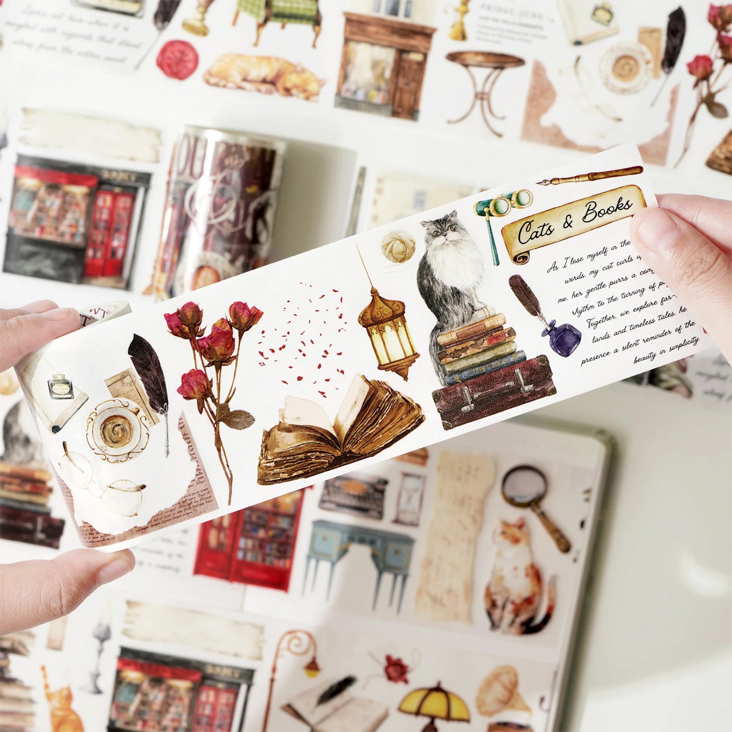 The Washi Tape Shop - Washi o PET Stickers WL - Cats and Books