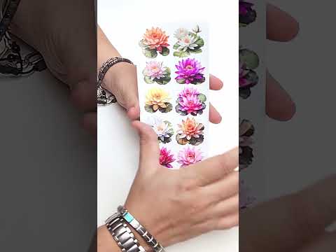 Violette Stickers - Stickers 4 x 8" (2 Hojas) - Lilypad Flower